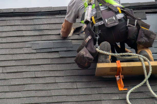 Best Roof Insulation Installation  in Llington, MI